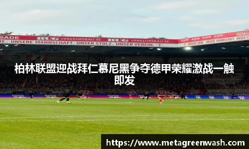 完美体育365平台官网